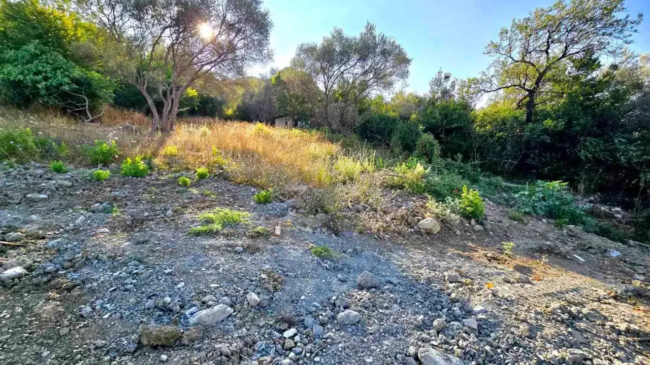 Prodaja, plac, 730m², Tivat, Crna Gora