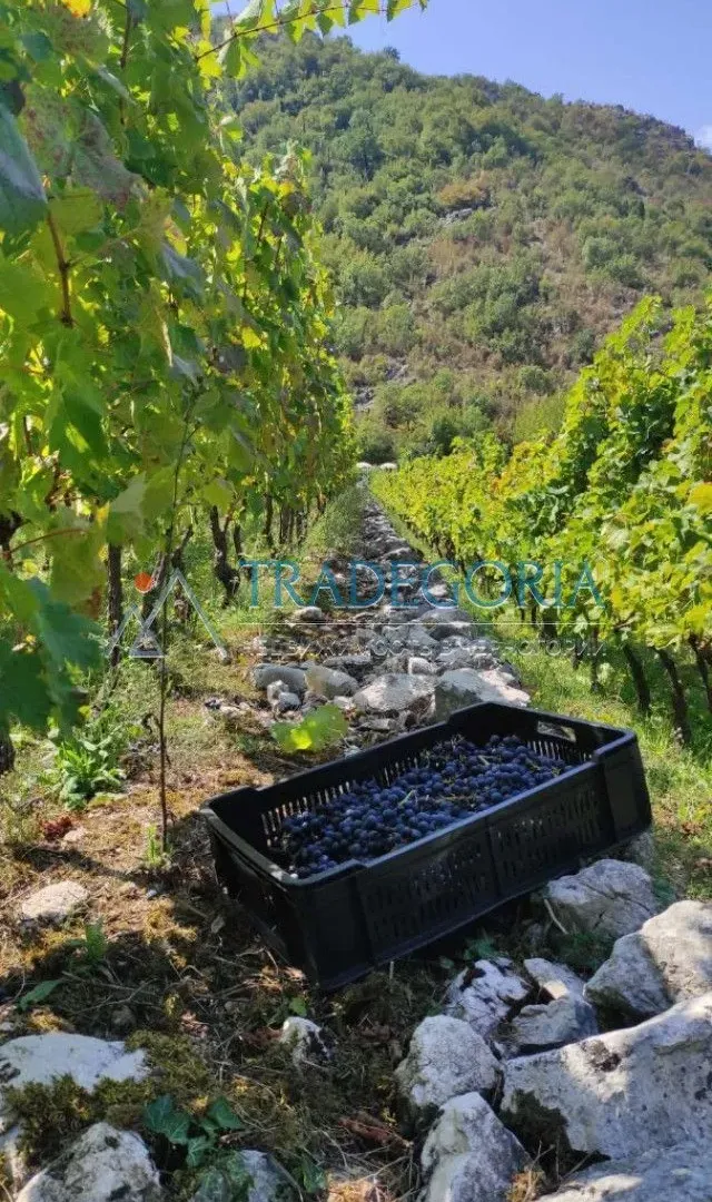 Prodaja, kuća, 170m², Podgorica, Crna Gora