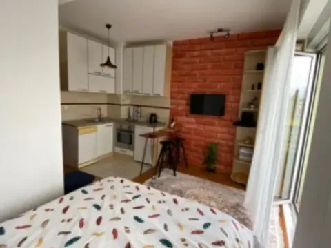 Daily-rent, studio apartment, 30m², Kod Big Fashion-a, Podgorica - image 3