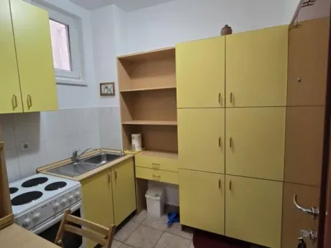 Rent, studio apartment, 25m², Nova Detelinara, Novi Sad Sve Podlokacije - image 5