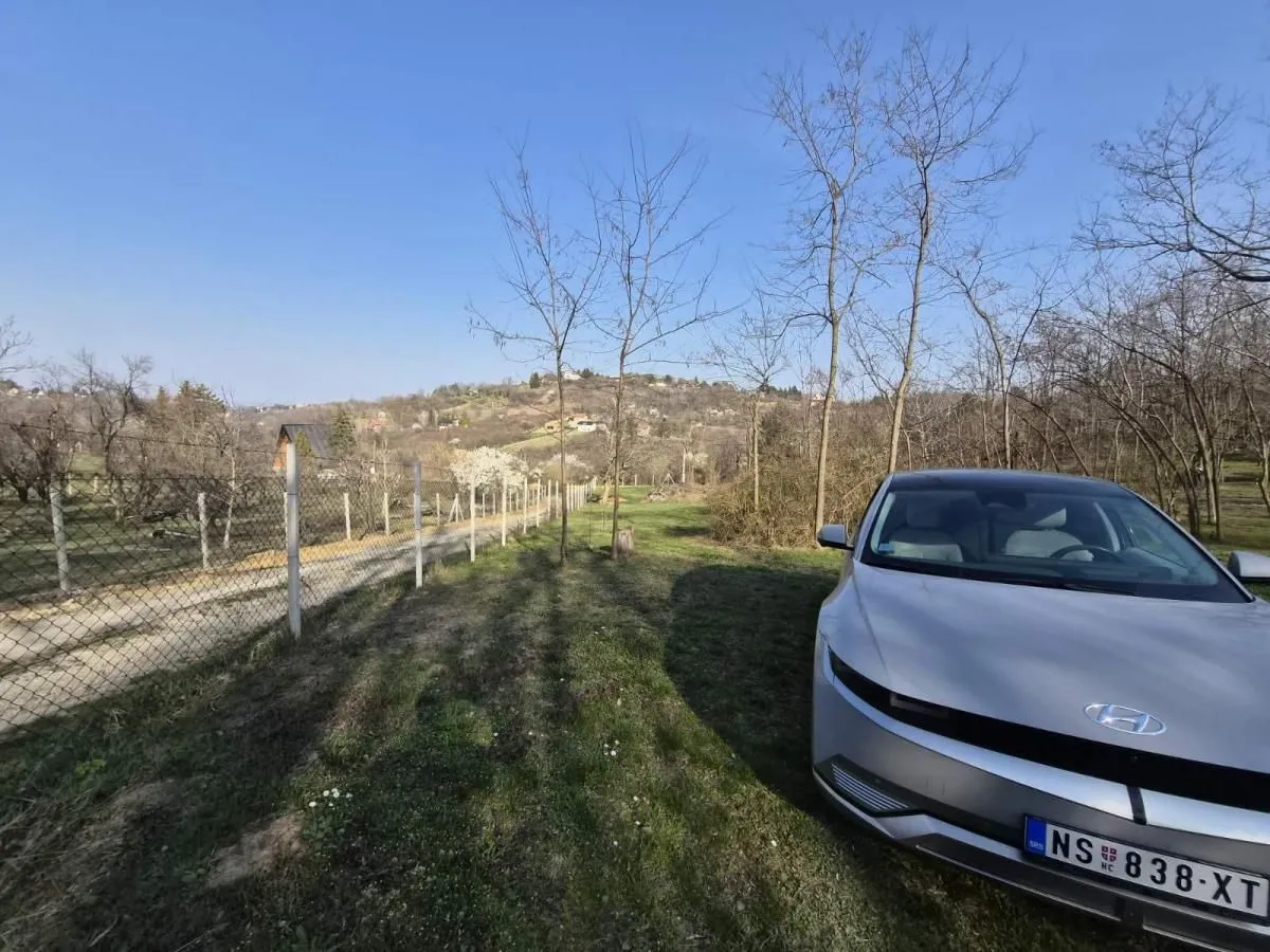 Prodaja, plac, 5000m², Sremska Kamenica, Petrovaradin