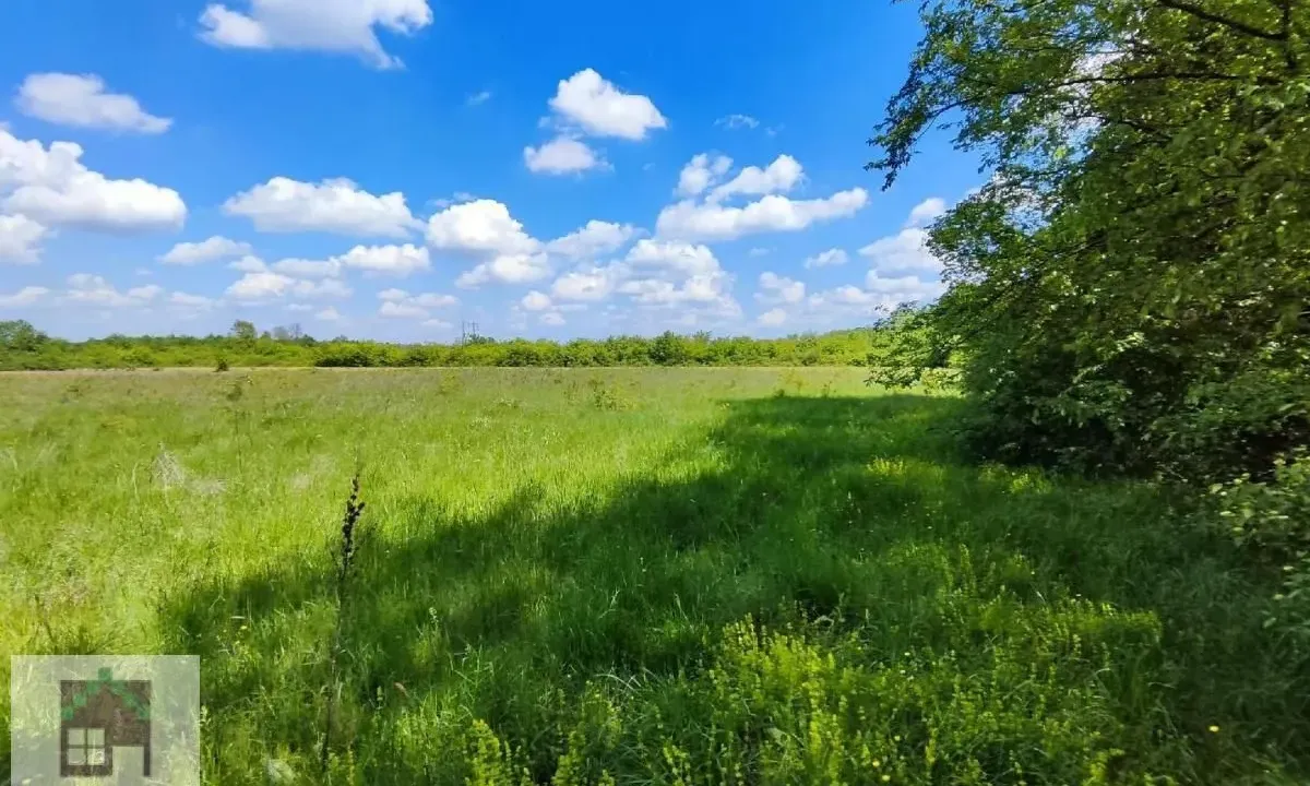 Prodaja, plac, 5500m², Draževac, Obrenovac