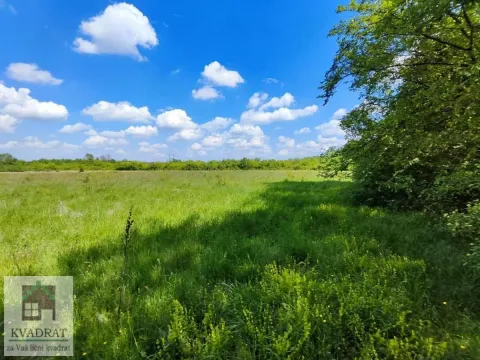 Sale, land lot, 55m², Draževac, Obrenovac