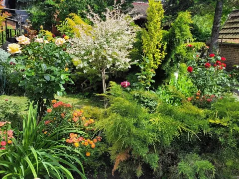 Prodaja, kuća, 210m², Bečej, Novi Sad - image 13