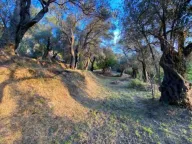 Prodaja, plac, 3770m², Zaljevo, Bar - image 4