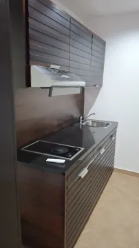Small kitchen with dark cabinets, a built-in cooktop, and a sink. - image 10