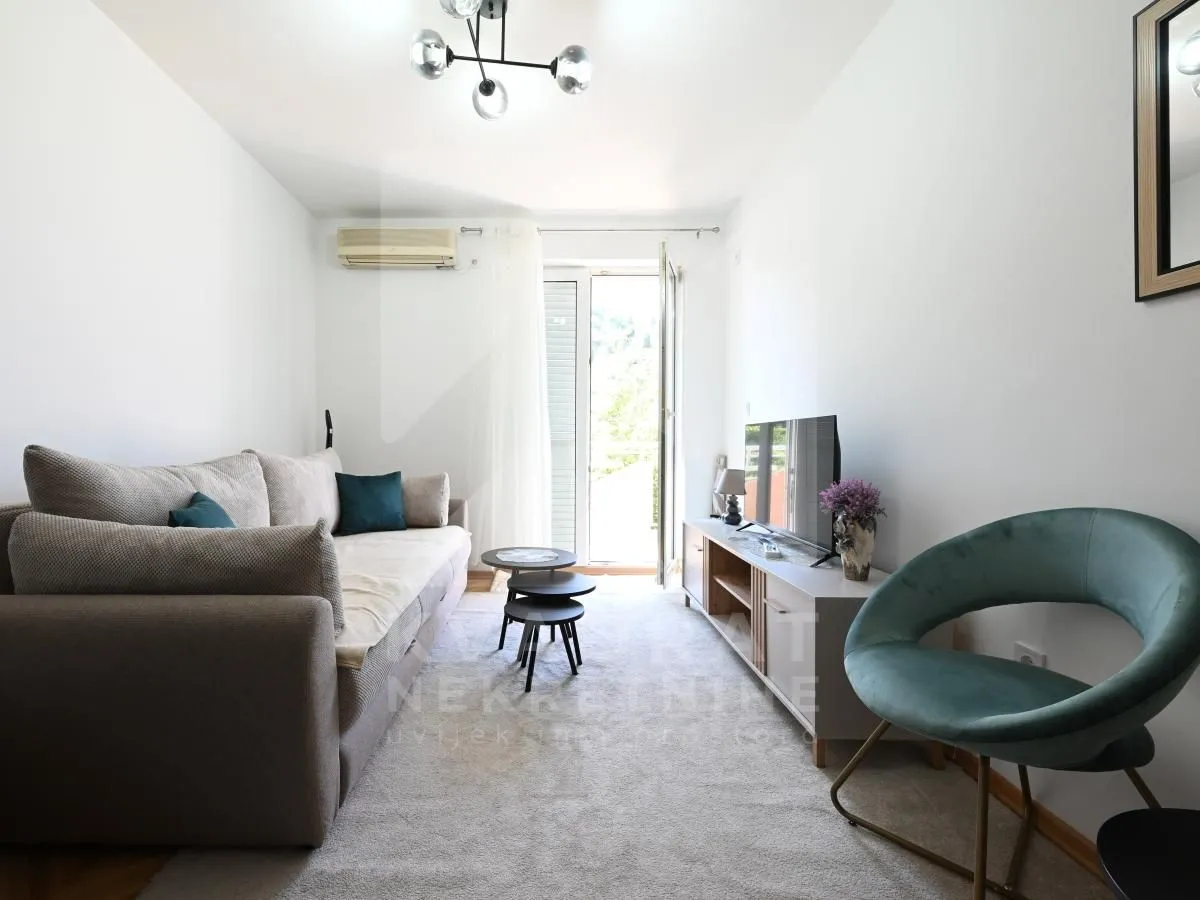 Rent, one bedroom apartment, 45m², Ljubović, Podgorica