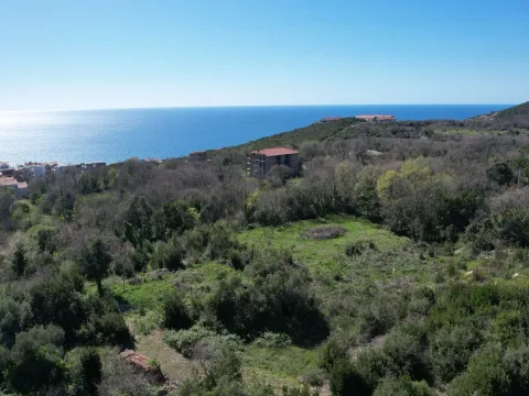 Prodaja, plac, 985m², Krimovica, Kotor - image 10