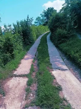 Uski seoski put okružen zelenilom i drvećem. - image 3