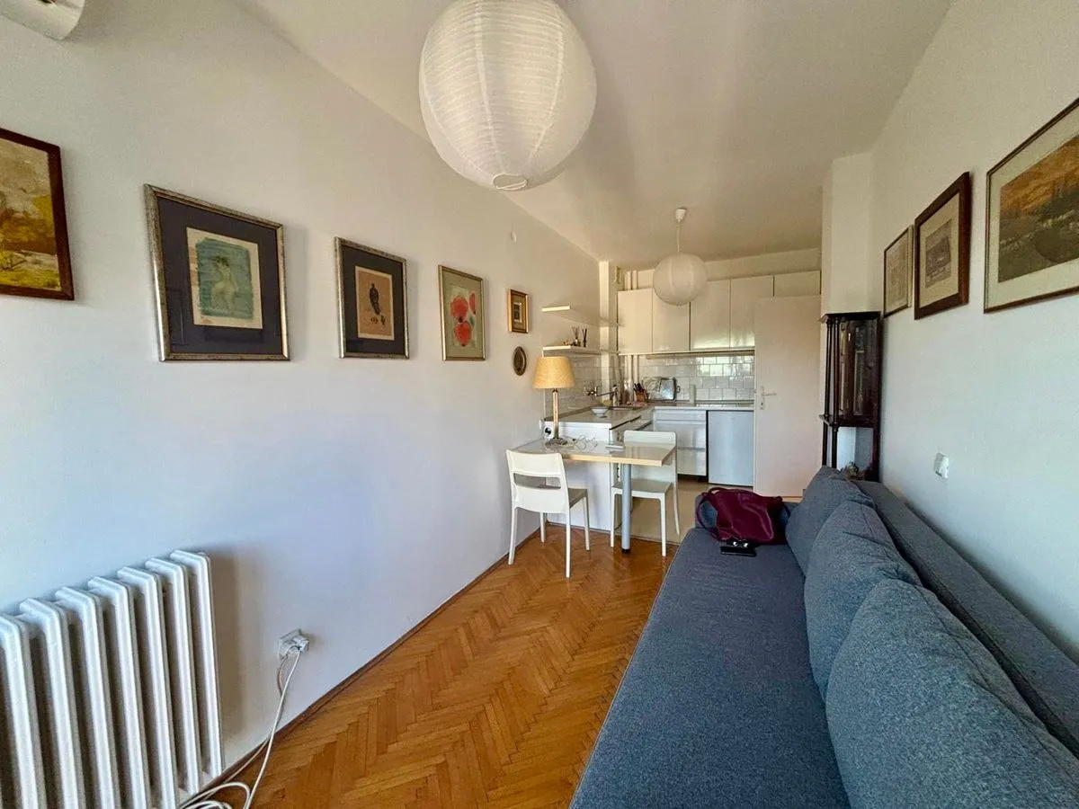 Rent, two bedroom apartment, 35m², Vračar Hram, Vračar Sve Podlokacije