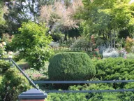 Prodaja, kuća, 160m², Beočin, Srbija - image 3