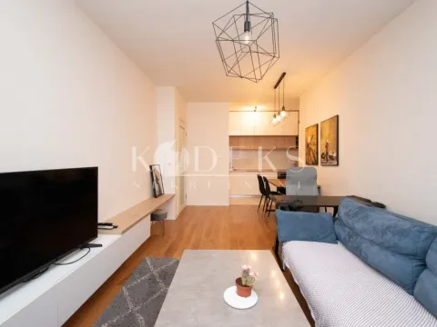 Rent, one bedroom apartment, 50m², Central Point, Podgorica - image 1