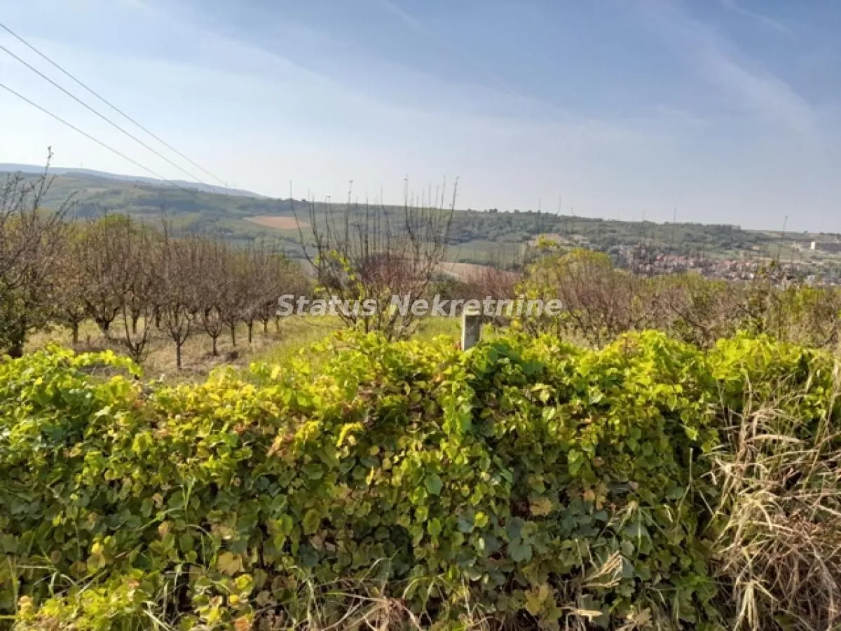 Sale, land lot, 8000m², Sremski Karlovci, Novi Sad