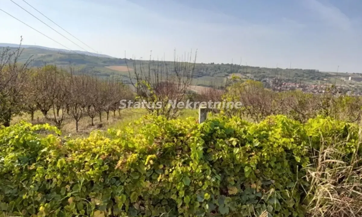 Prodaja, plac, 80m², Sremski Karlovci, Novi Sad