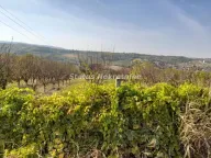 Prodaja, plac, 80m², Sremski Karlovci, Novi Sad - image 1