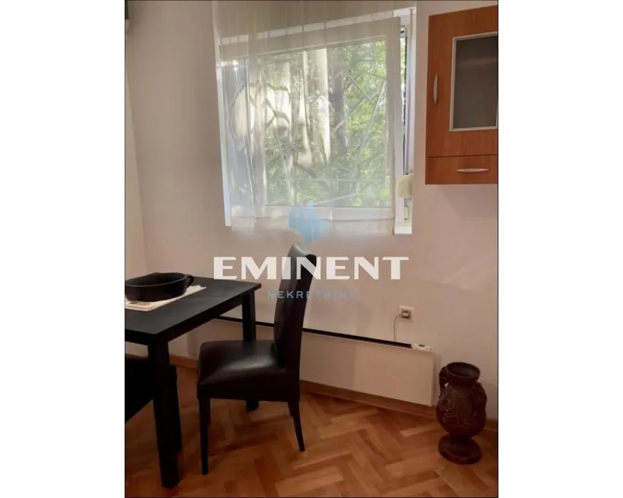 Izdavanje, stan, 41m², Zemun Sve Podlokacije, Beograd