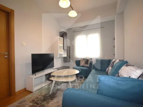 Rent, one bedroom apartment, 39m², Ljubović, Podgorica - image 2