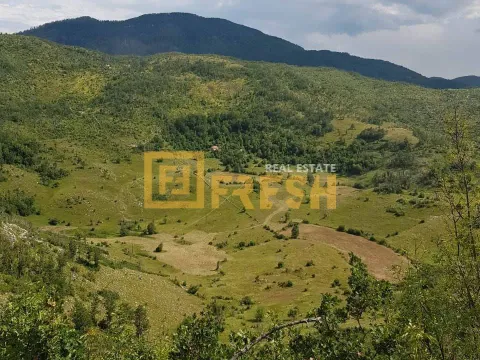 Prodaja, plac, 896000m², Nikšić, Crna Gora - image 2