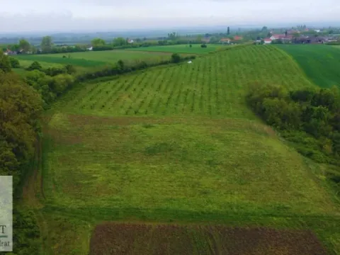 Sale, land lot, 38000m², Kožuar, Ub - image 15