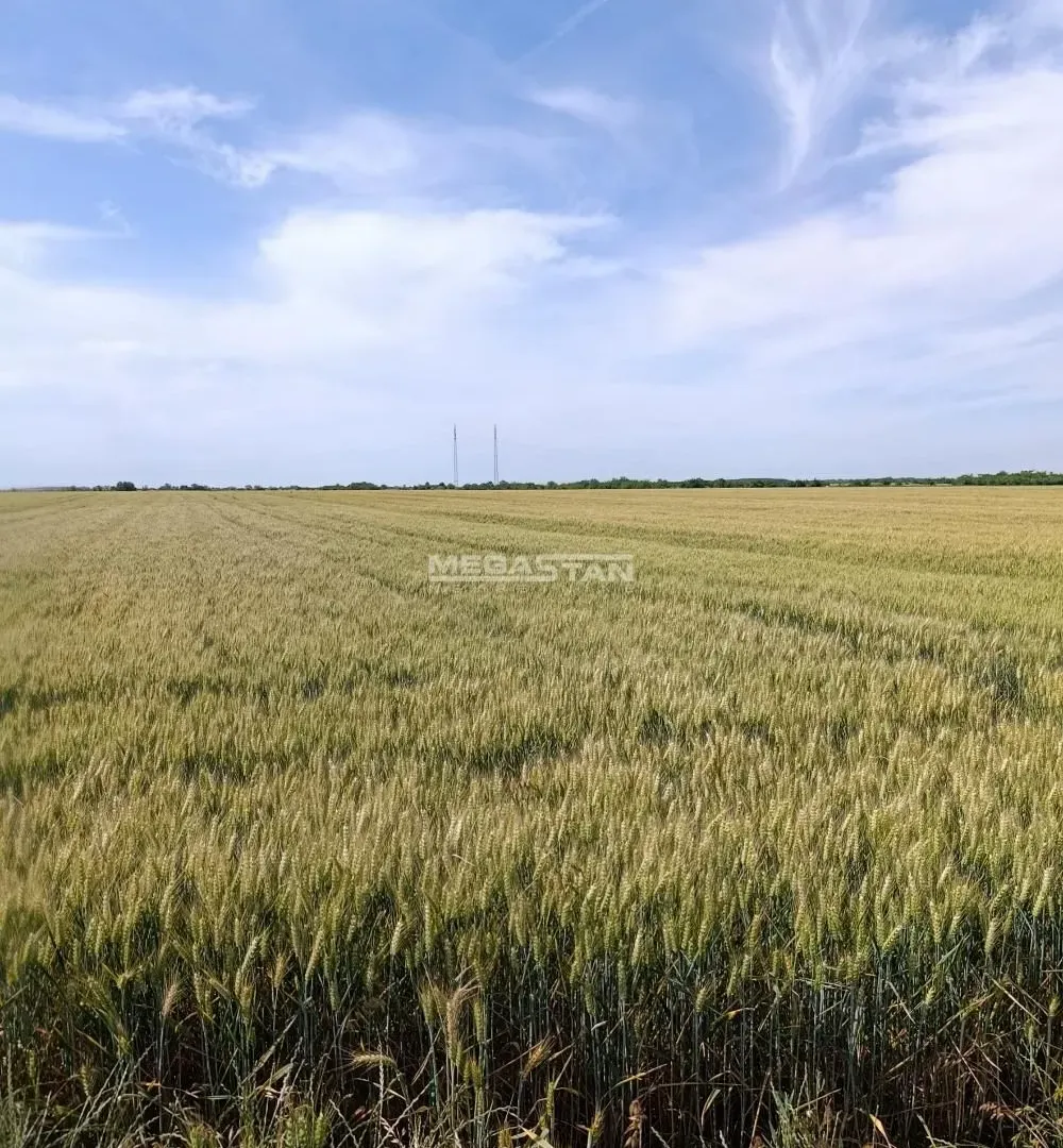Prodaja, plac, 13059m², Ovča, Palilula Sve Podlokacije