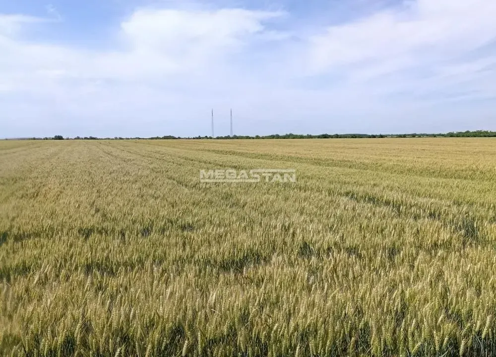 Prodaja, plac, 13059m², Ovča, Palilula Sve Podlokacije