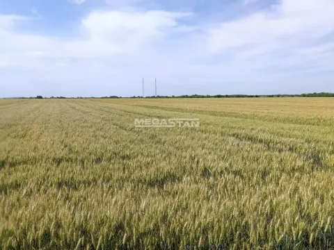 Zemljište in Ovča
