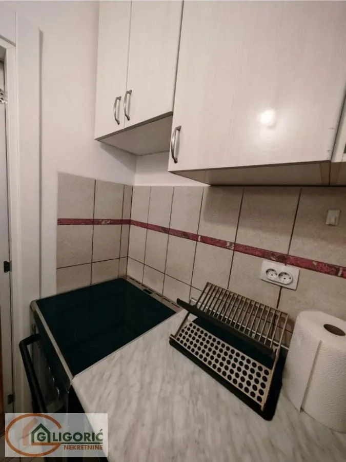 Izdavanje, dvosoban stan, 34m², Skadarlija, Beograd