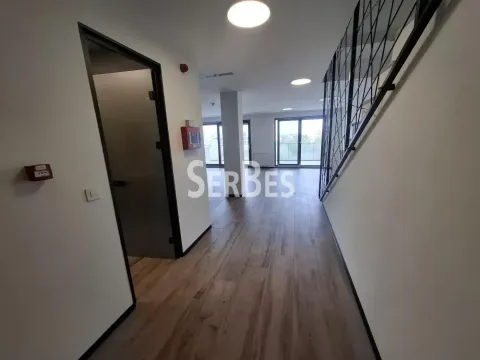 Izdavanje, poslovni prostor, 314m², Liman 3, Novi Sad Sve Podlokacije - image 9