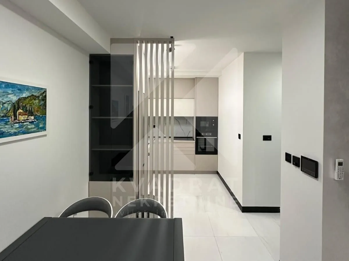 Izdavanje, jednosoban stan, 45m², Zagorič, Podgorica