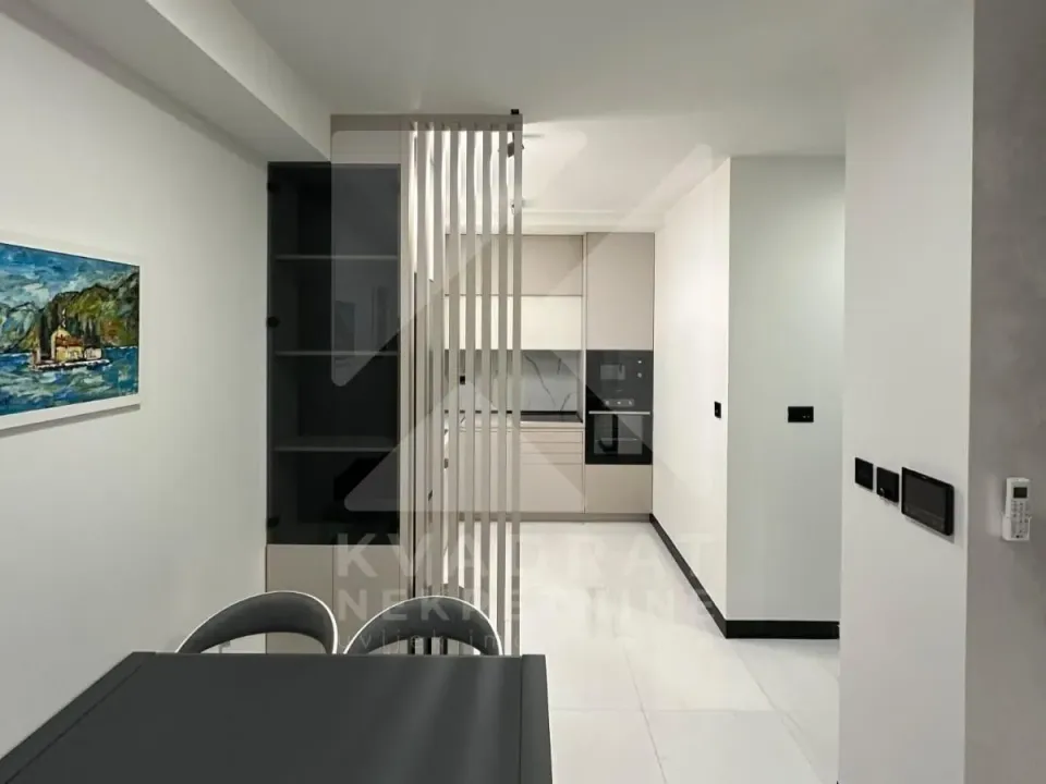 Rent, one bedroom apartment, 45m², Zagorič, Podgorica