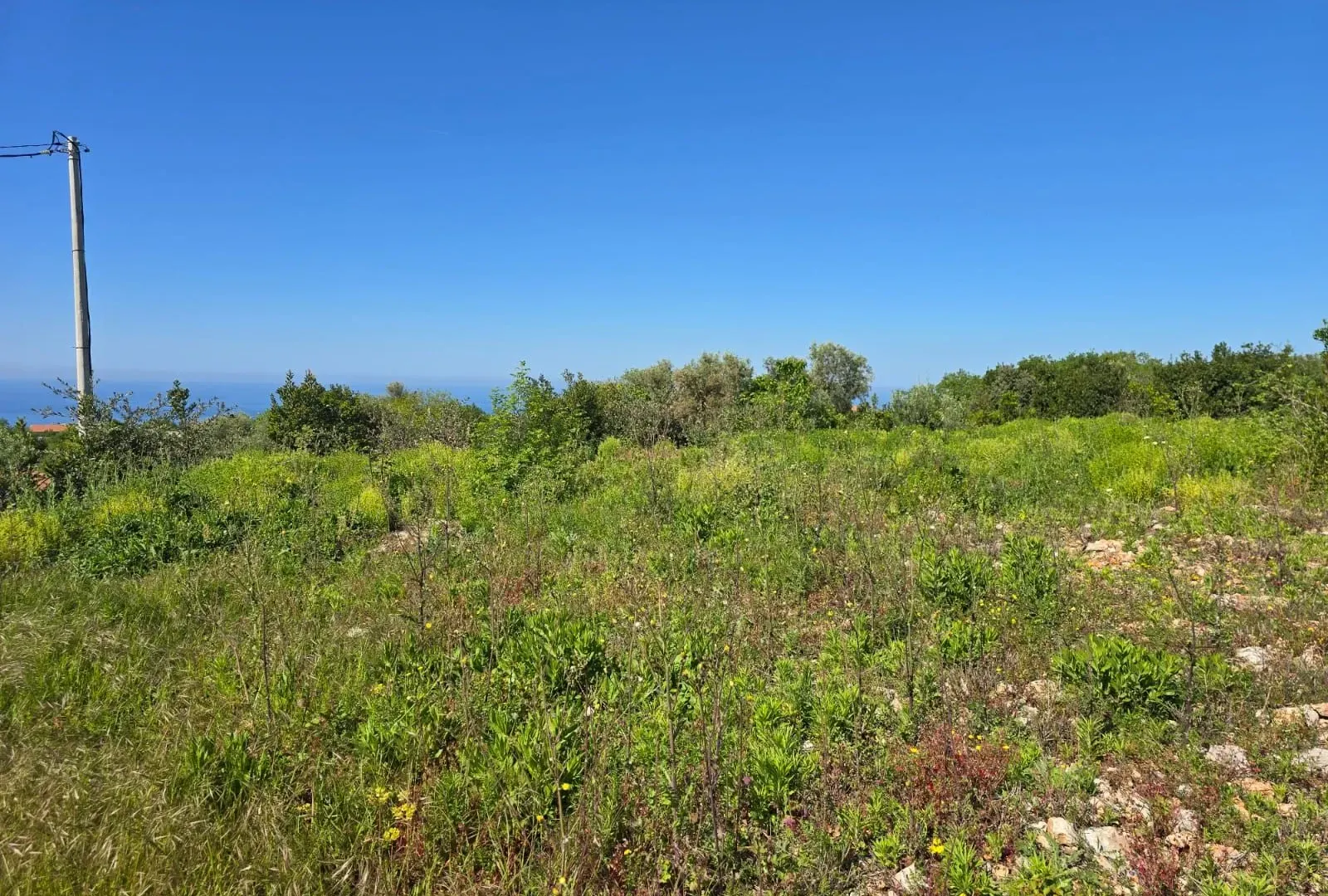 Prodaja, plac, 624m², Krimovica, Kotor