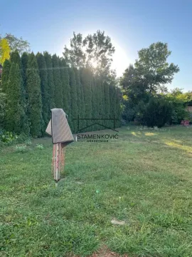 Prodaja, kuća, 200m², Bačka Palanka, Novi Sad - image 4