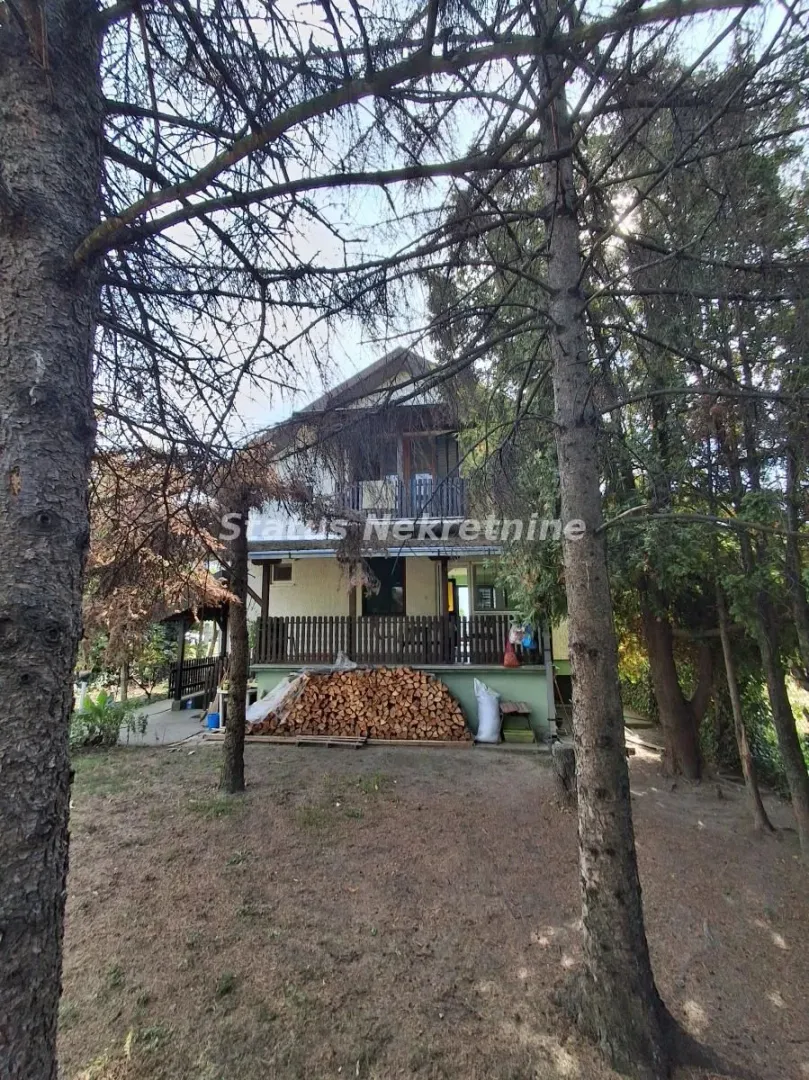 Pogled na kuću sa dvorištem okruženom visokim četinarima.