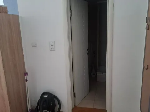 Izdavanje, jednosoban stan, 37m², Vračar Sve Podlokacije, Beograd - image 8