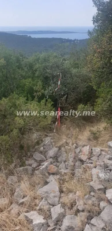 Prodaja, plac, 550m², Rose, Herceg Novi
