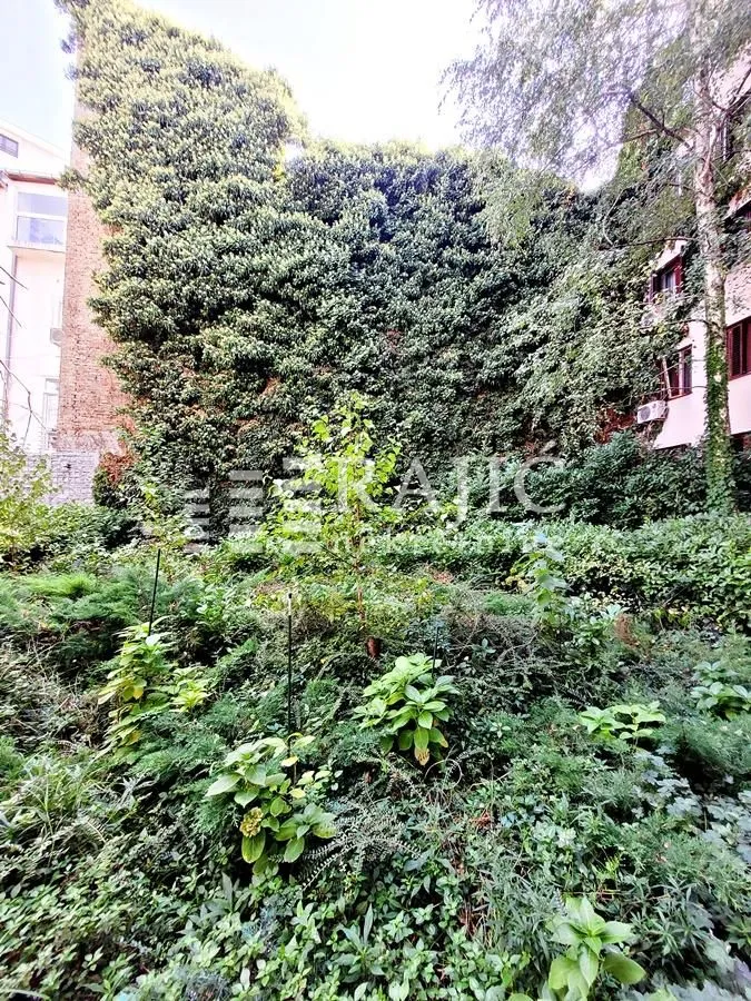 Green courtyard with lush vegetation and an ivy-covered facade.