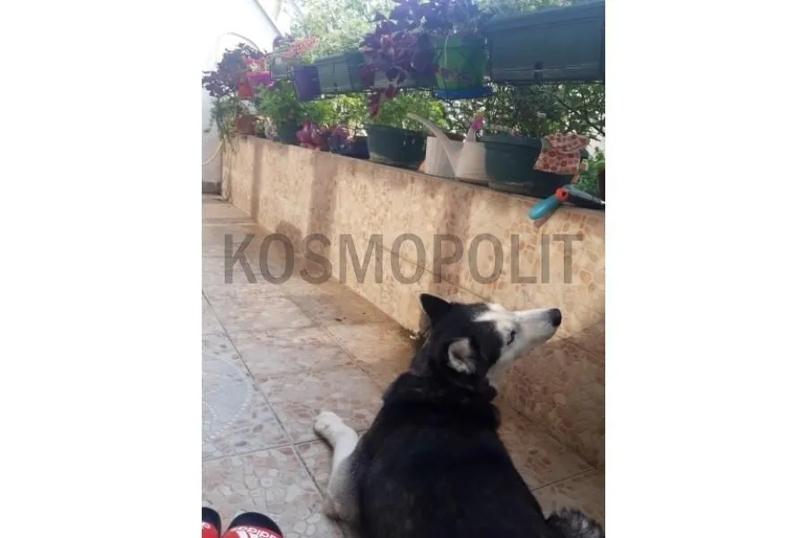 Sale, three bedroom apartment, 154m², Banovo Brdo, Beograd