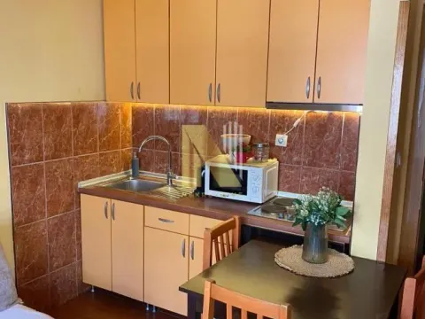 Izdavanje, dvosoban stan, 50m², Grbavica, Novi Sad Sve Podlokacije - image 2