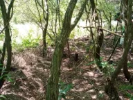 Izdavanje, plac, 9330m², Dudovi, Obrenovac - image 3