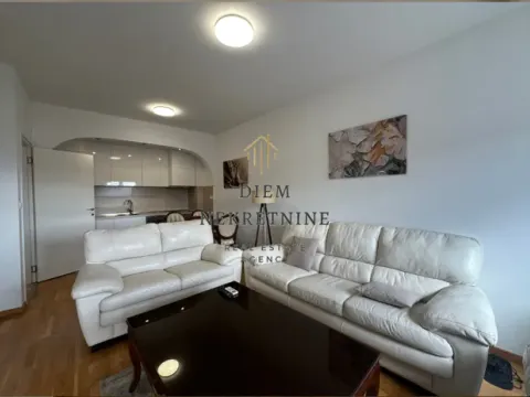 Izdavanje, jednosoban stan, 43m², Zabjelo, Podgorica - image 3