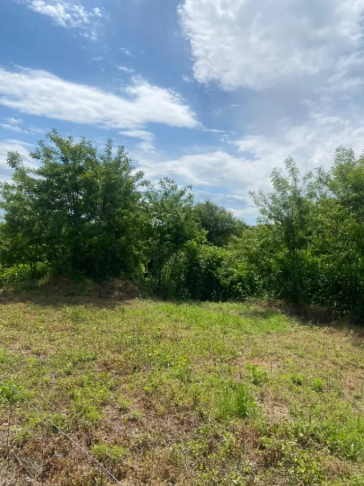 Prodaja, plac, 5000m², Beograd, Srbija