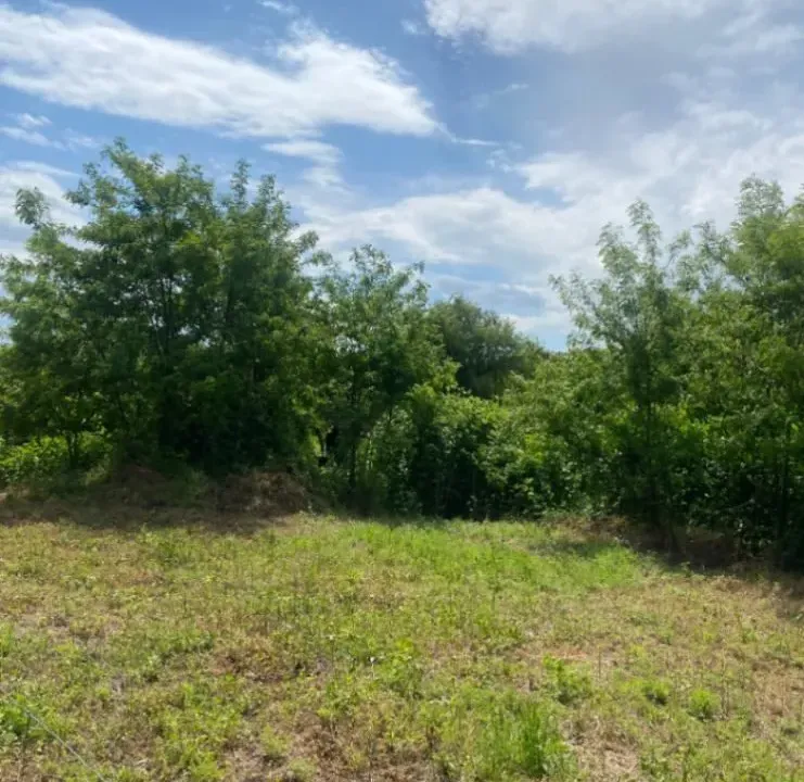 Sale, land lot, 5000m², Beograd, Srbija