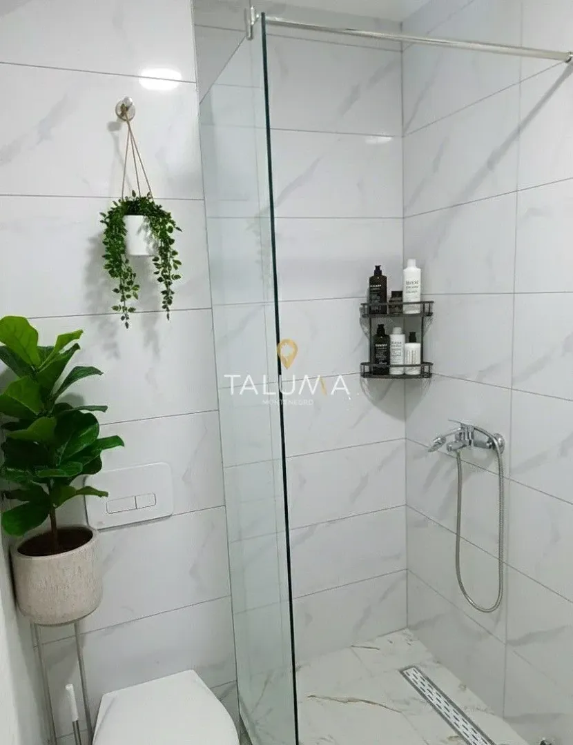 Rent, one bedroom apartment, 47m², Zagorič, Podgorica