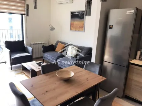 Izdavanje, dvosoban stan, 50m², Savski Venac, Beograd - image 2