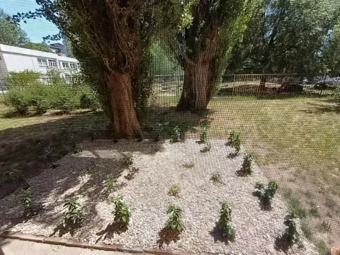 Prodaja, jednosoban stan, 29m², Liman 2, Novi Sad Sve Podlokacije - image 5
