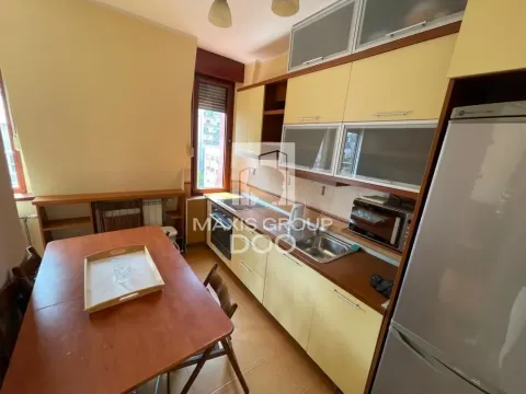 Izdavanje, jednosoban stan, 52m², Vračar Centar, Vračar Sve Podlokacije - image 11