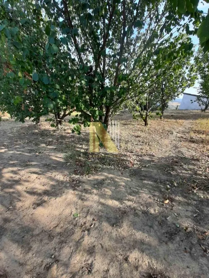 Prodaja, plac, 600m², Petrovaradin, Novi Sad