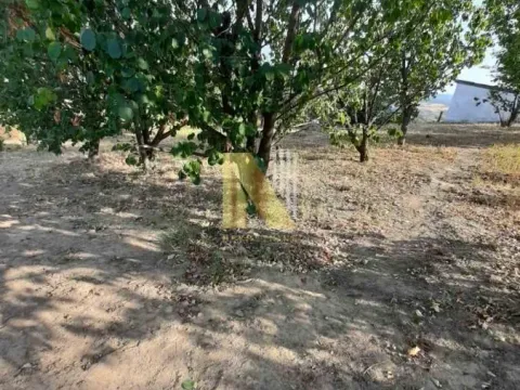 Prodaja, plac, 600m², Petrovaradin, Novi Sad - image 2