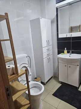 Bathroom equipped with a toilet, washbasin, and storage cabinet. - image 13