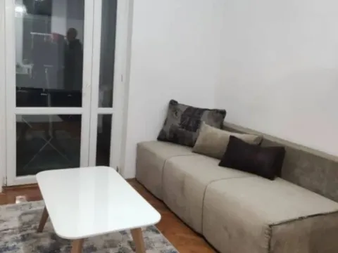 Izdavanje, garsonjera, 34m², Tološka šuma, Podgorica - image 7